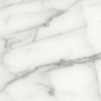Marble - Bianco Gioia Venatino