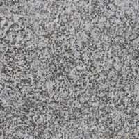 Granite - Flossenbuerger Grau