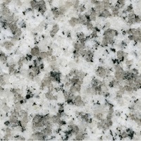Granite - Padang Sardo Bianco TG-67