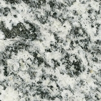 Granite - Serizzo