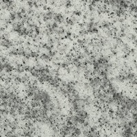 Granite - Silver Cloud