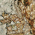 Granit Preise - Atlas