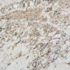 Granit Fliesen Preise - Sierra Granada