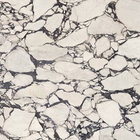 Atlas Plan - Calacatta Viola AP