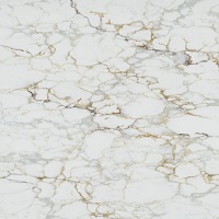 Dream Quarz - Dream Calacatta Gold