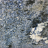 Granit Preise - Bahia Blue