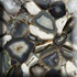   Prices - 8311 Gray Agate  Prices
