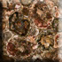 Caesarstone Classico  Preise - 8330 Petrified Wood  Preise