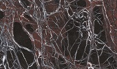 Infinity Preise - Rosso Domus  Preise