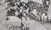 Alpine White - Natursteinplatten - Granit