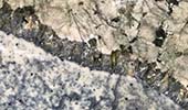 Granit Arbeitsplatten - Avatar Kamarica