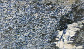 Bahia Blue - Natursteinplatten - Granit
