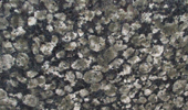 Baltic Green - Natursteinplatten - Granit
