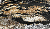 Black Taurus - Natursteinplatten - Granit