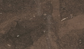 Caesar Brown - Natursteinplatten - Marmor