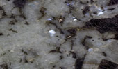 Labradorite Blue River - Silestone