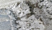 Mont Bleu - Natursteinplatten - Granit
