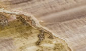 Onyx Botticelli Tanzania - Natursteinplatten - Marmor