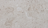 Perlato Europa - Natursteinplatten - Marmor