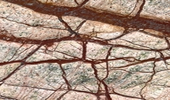Rainforest Brown - Natursteinplatten - Marmor