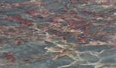 Salome - Natursteinplatten - Marmor