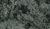Granit Arbeitsplatten - Verde Maritaca